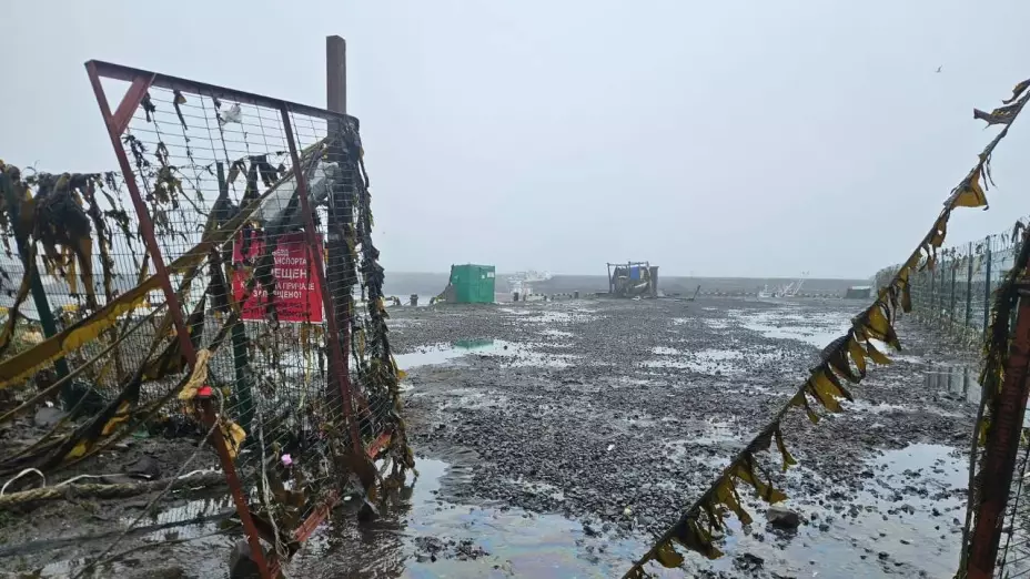 descarga-3 Tsunami masivo impacta costas del Pacífico tras terremoto 8.8 en Kamchatka, Rusia