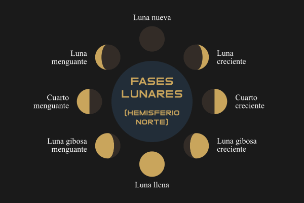 images Cuida tu cabello con ayuda de la Luna: las mejores fechas para cortarlo en agosto 2025