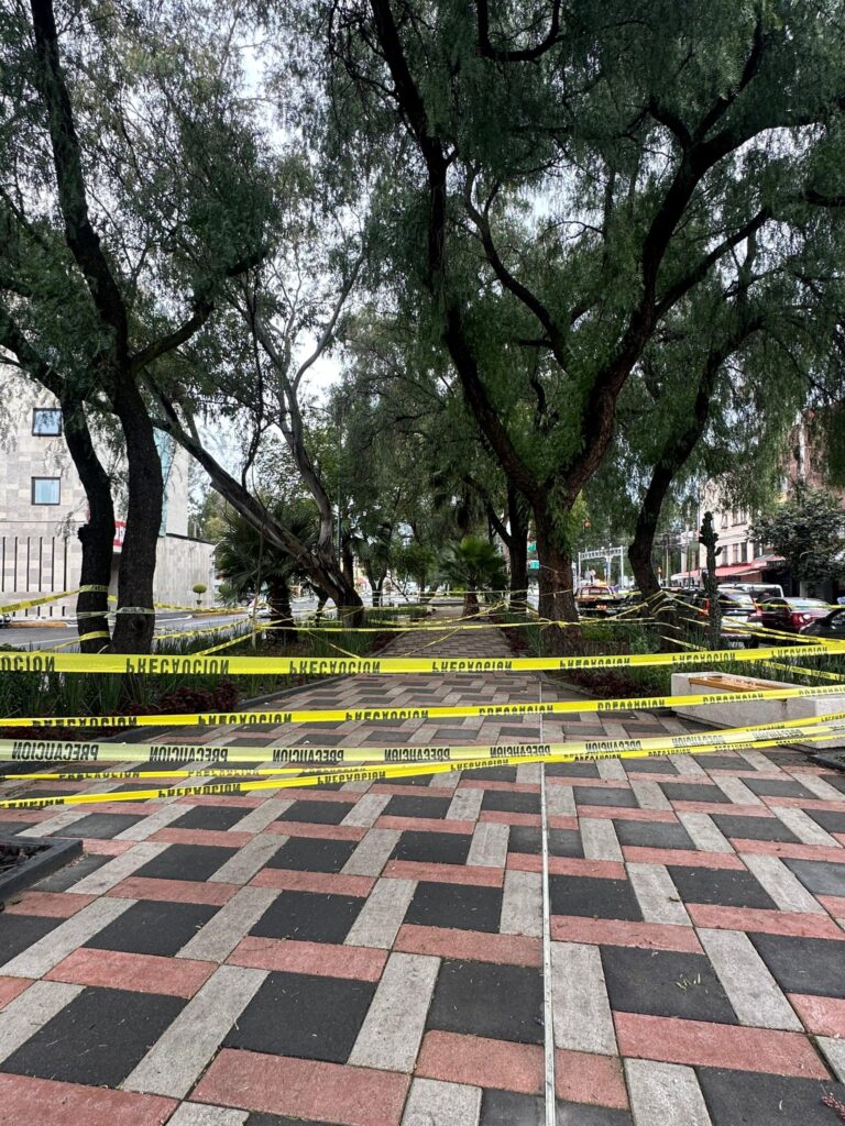 GzE1pesWoAAROJk-768x1024 Mujer cae en socavón de dos metros en la Gustavo A. Madero; fue trasladada por el ERUM