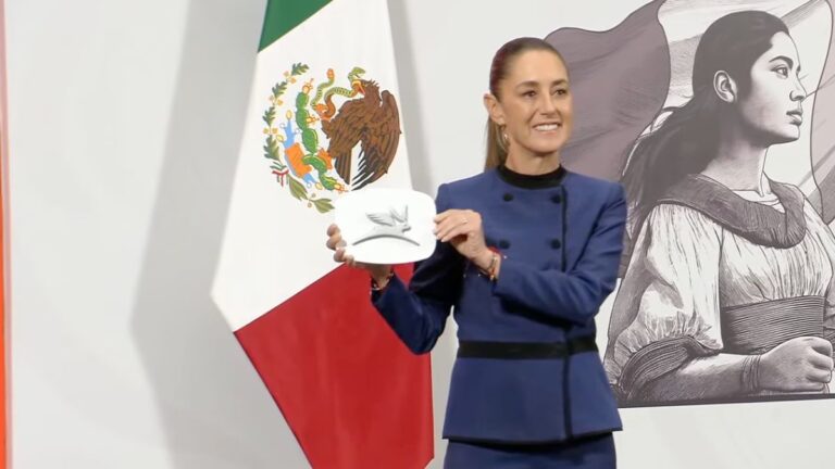 OLINIA-VEHICULOS-GOBIERNO