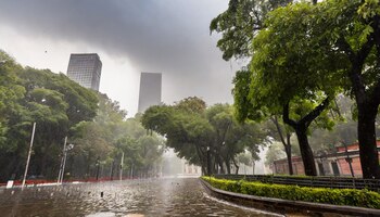 ZWYOE66BGBDWXMDFLY67C6DZMA Clima CDMX hoy 5 de agosto: calor al mediodía y lluvias por la tarde con fuertes vientos