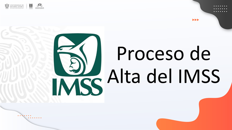 alta_imss