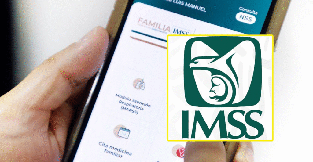 image-14-1024x531 IMSS rompe récord: más de 1 millón de afiliados en julio por trabajadores de plataformas digitales